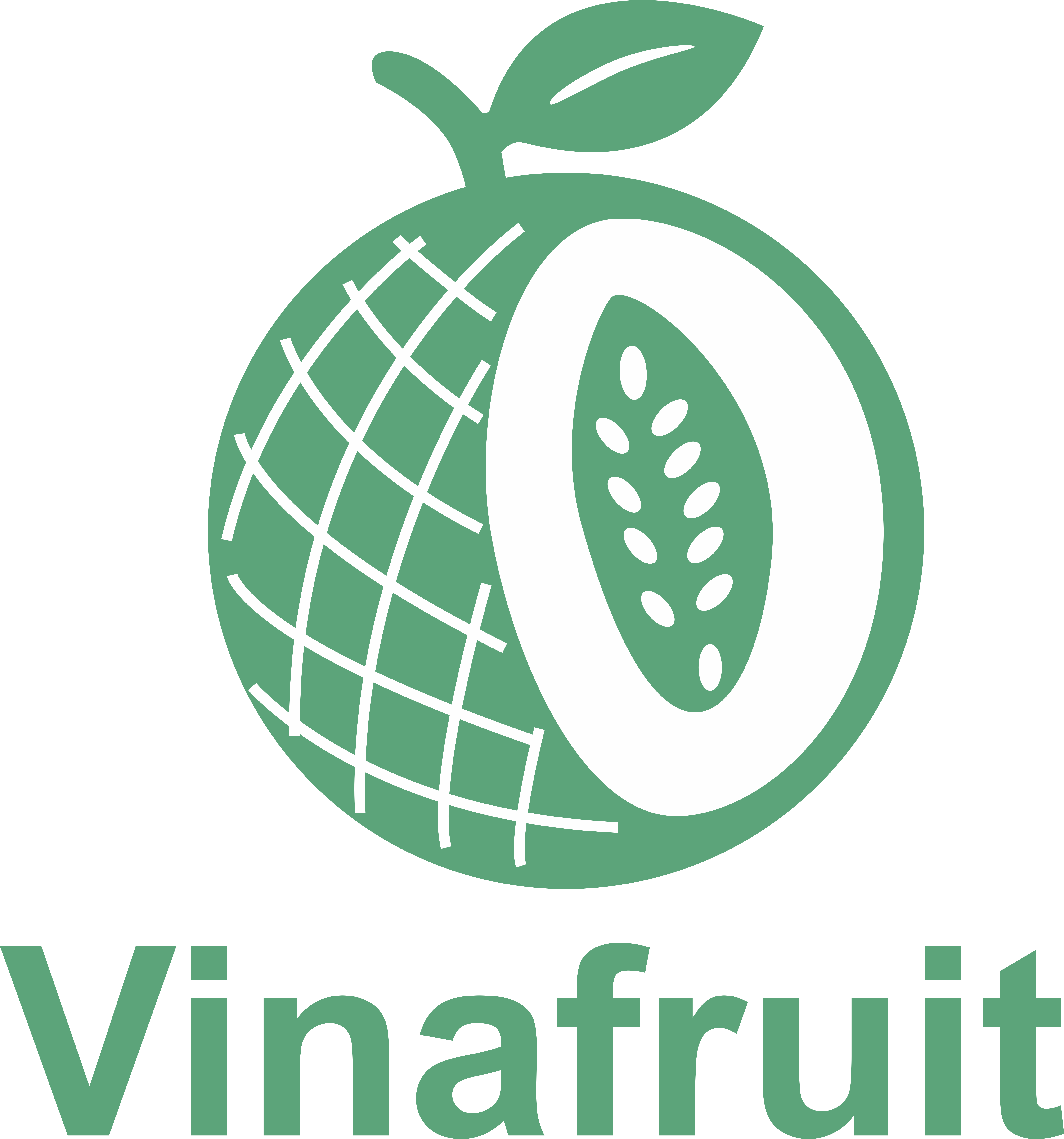 Vinafruit